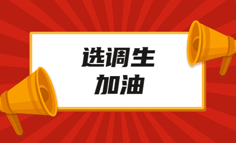 2020年报考四川眉山选调生需要哪些要求